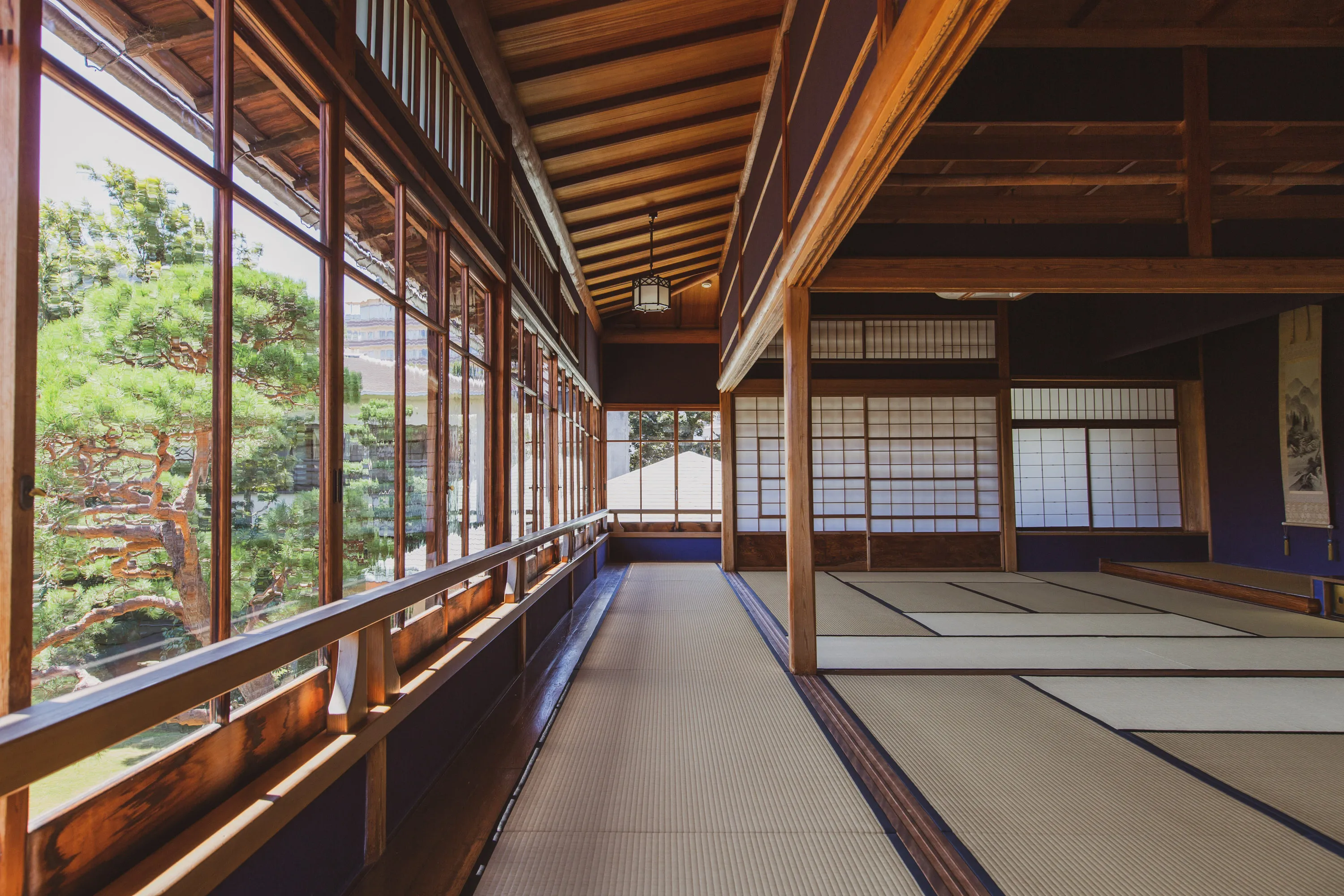 Japanese Wing: “Taihō” image